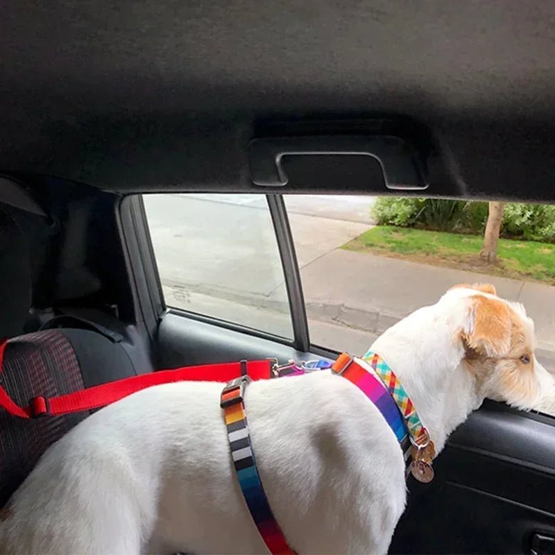 2 - in - 1 Hunde Auto Sicherheitsgurt – Verstellbares Nylon Geschirr & Leine für Hunde, Rücksitz - Sicherheitsgurt, Pet Accessories | Furrivio™ für Hunde & Katzen – jetzt bei Furrivio™ kaufen