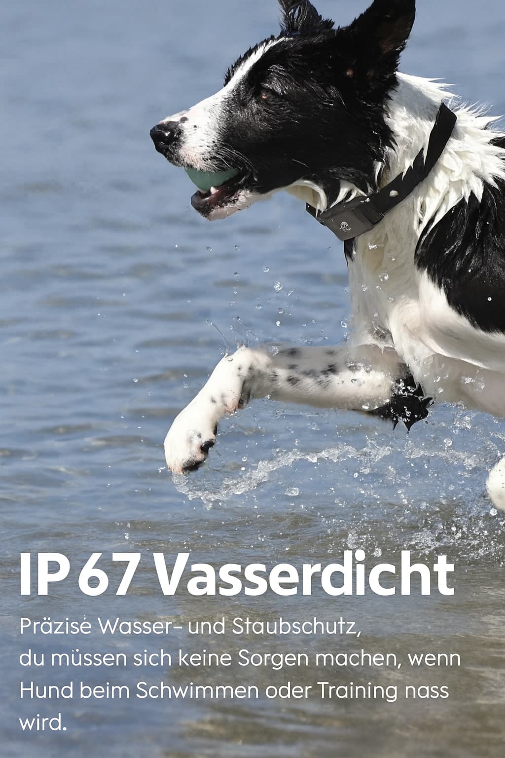 GPS Hunde - Tracker Halsband Wasserdicht 4G | Echtzeit - Ortung & Anti - Verlust Locator für Hunde