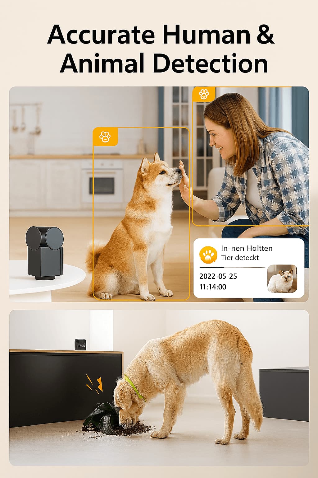 Hundekamera - Überwachungskamera mit Sprachfunktion & Mikrofon | Furrivio™ für Hunde & Katzen – jetzt bei Furrivio™ kaufen