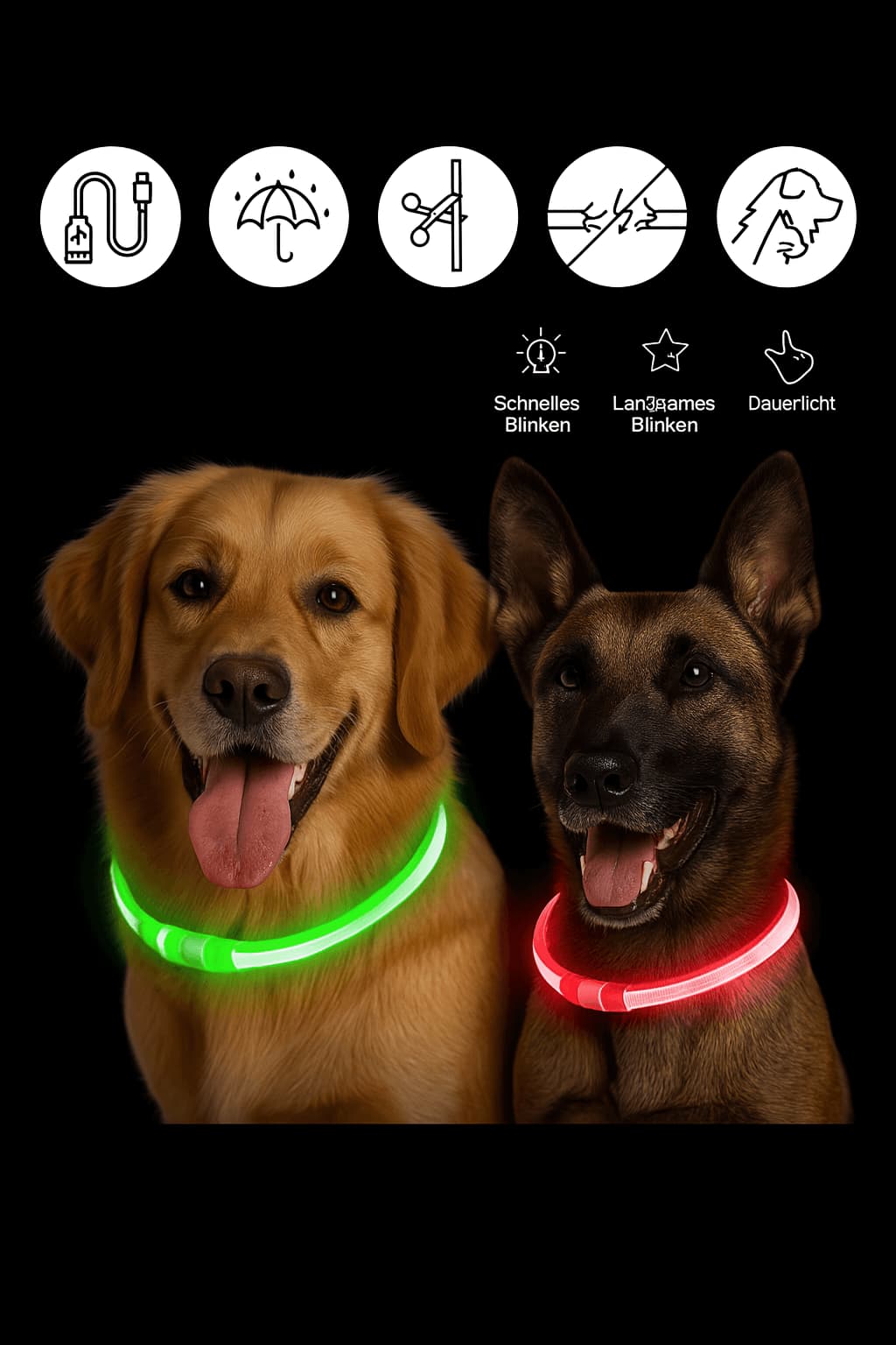 Leuchthalsband für Hunde – Wiederaufladbar per USB, mit LED - Licht für Nacht & Sicherheit | Furrivio™ für Hunde & Katzen – jetzt bei Furrivio™ kaufen