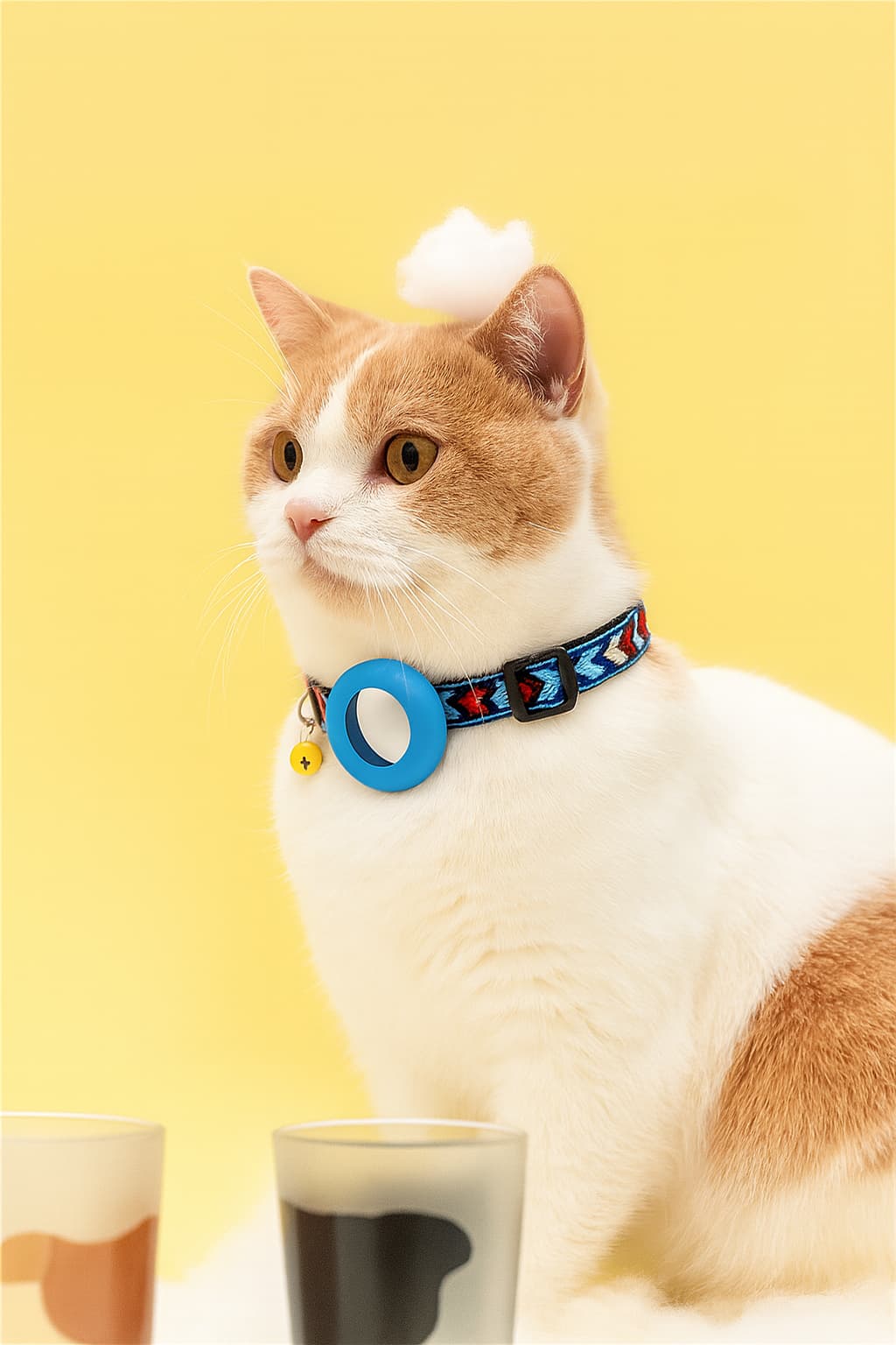 Airtag Halsband Katze – reflektierend & verstellbar | Furrivio™ für Hunde & Katzen – jetzt bei Furrivio™ kaufen