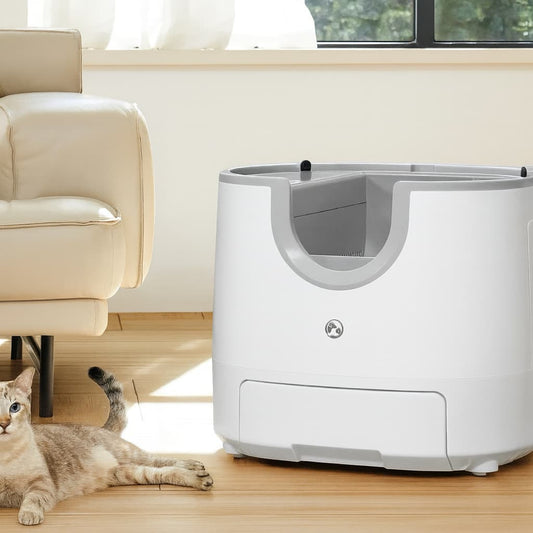 Automatisches Katzenklo – Selbstreinigende Smart Katzentoilette mit Sensor | Furrivio™ für Hunde & Katzen