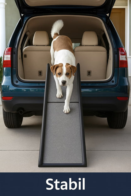 Autorampe für Hunde (faltbar) – Sicher ins Auto | Furrivio™ für Hunde & Katzen – jetzt bei Furrivio™ kaufen
