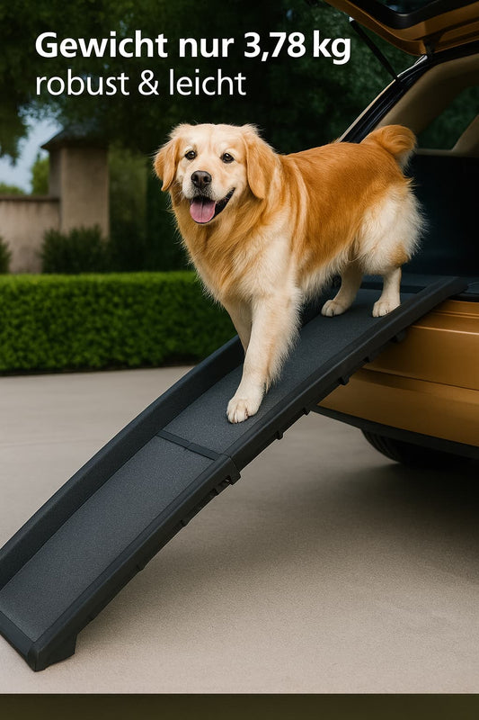 Autorampe für Hunde (faltbar) – Sicher ins Auto | Furrivio™ für Hunde & Katzen – jetzt bei Furrivio™ kaufen