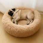 Beruhigendes Donut Hundebett aus Plüsch – Ultraweich & Waschbar | Furrivio™ für Hunde & Katzen – jetzt bei Furrivio™ kaufen