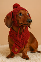 Dackel Mütze - Warme Mütze für Dackel mit Schal für Hunde & Katzen – jetzt bei Furrivio™ kaufen