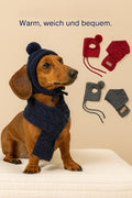 Dackel Mütze - Warme Mütze für Dackel mit Schal für Hunde & Katzen – jetzt bei Furrivio™ kaufen
