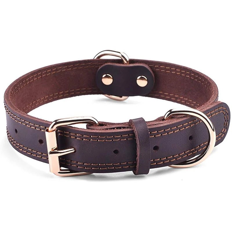 Echtes Leder Hundehalsband – Vintage & robust | Furrivio™ für Hunde & Katzen – jetzt bei Furrivio™ kaufen