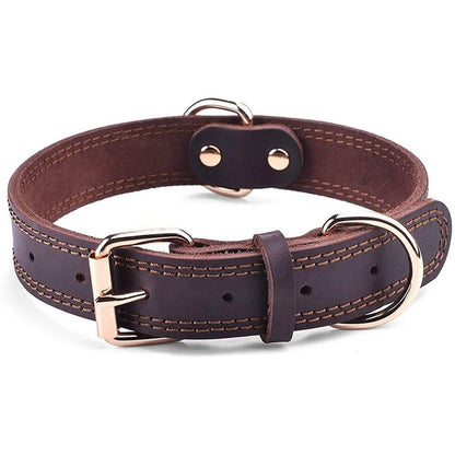 Echtes Leder Hundehalsband – Vintage & robust | Furrivio™ für Hunde & Katzen – jetzt bei Furrivio™ kaufen