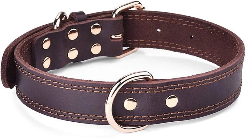 Echtes Leder Hundehalsband – Vintage & robust | Furrivio™ für Hunde & Katzen – jetzt bei Furrivio™ kaufen