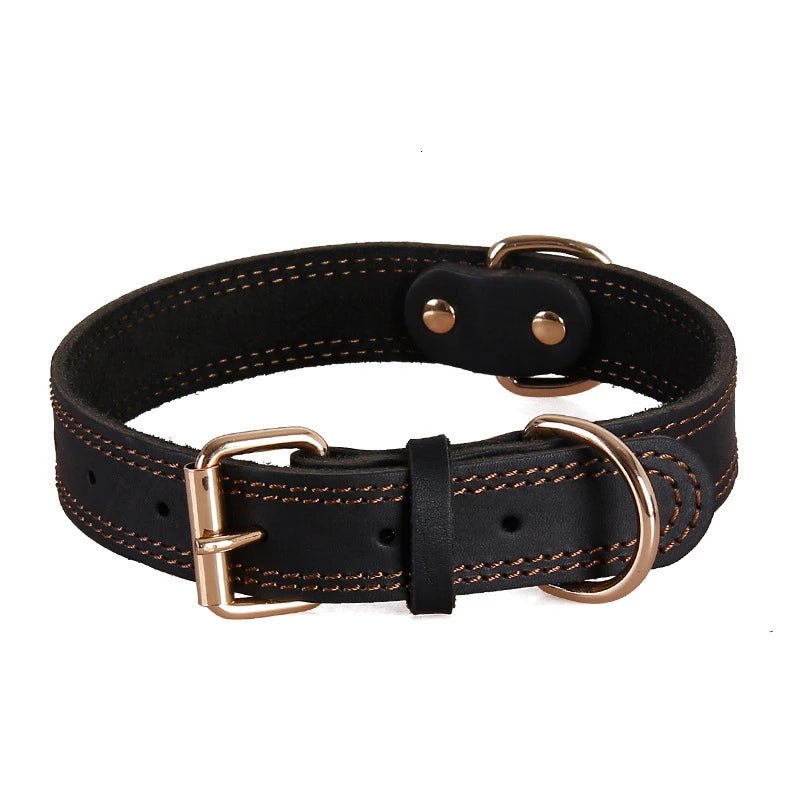 Echtes Leder Hundehalsband – Vintage & robust | Furrivio™ für Hunde & Katzen – jetzt bei Furrivio™ kaufen