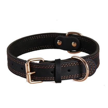 Echtes Leder Hundehalsband – Vintage & robust | Furrivio™ für Hunde & Katzen – jetzt bei Furrivio™ kaufen