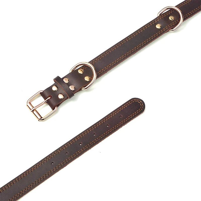 Echtes Leder Hundehalsband – Vintage & robust | Furrivio™ für Hunde & Katzen – jetzt bei Furrivio™ kaufen