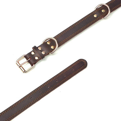 Echtes Leder Hundehalsband – Vintage & robust | Furrivio™ für Hunde & Katzen – jetzt bei Furrivio™ kaufen