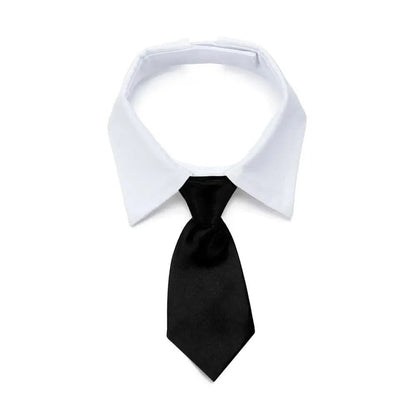 Elegante Hunde - Krawatte | Verstellbare Halsband für Hochzeit, Party & Feiertage | Furrivio™ für Hunde & Katzen – jetzt bei Furrivio™ kaufen