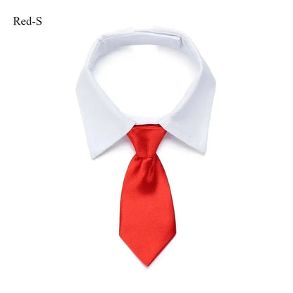 Elegante Hunde - Krawatte | Verstellbare Halsband für Hochzeit, Party & Feiertage | Furrivio™ für Hunde & Katzen – jetzt bei Furrivio™ kaufen