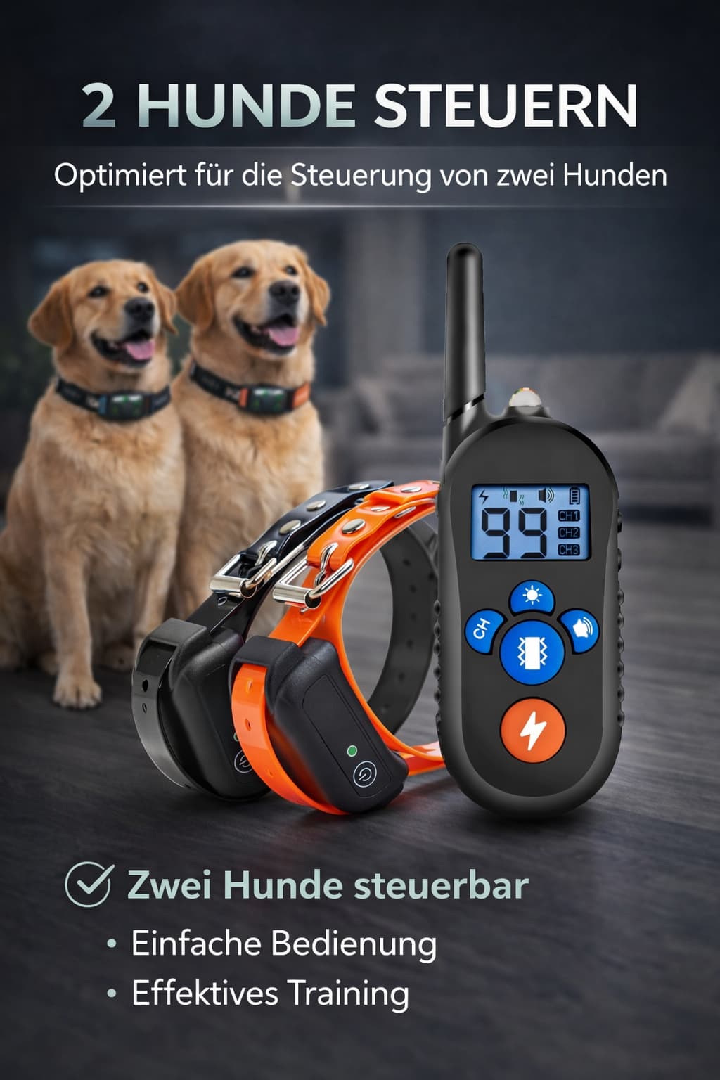 Elektroschock Halsband fr Hunde - Stromhalsband | Furrivio Elektroschock Halsband fr Hunde - Stromhalsband | Furrivio