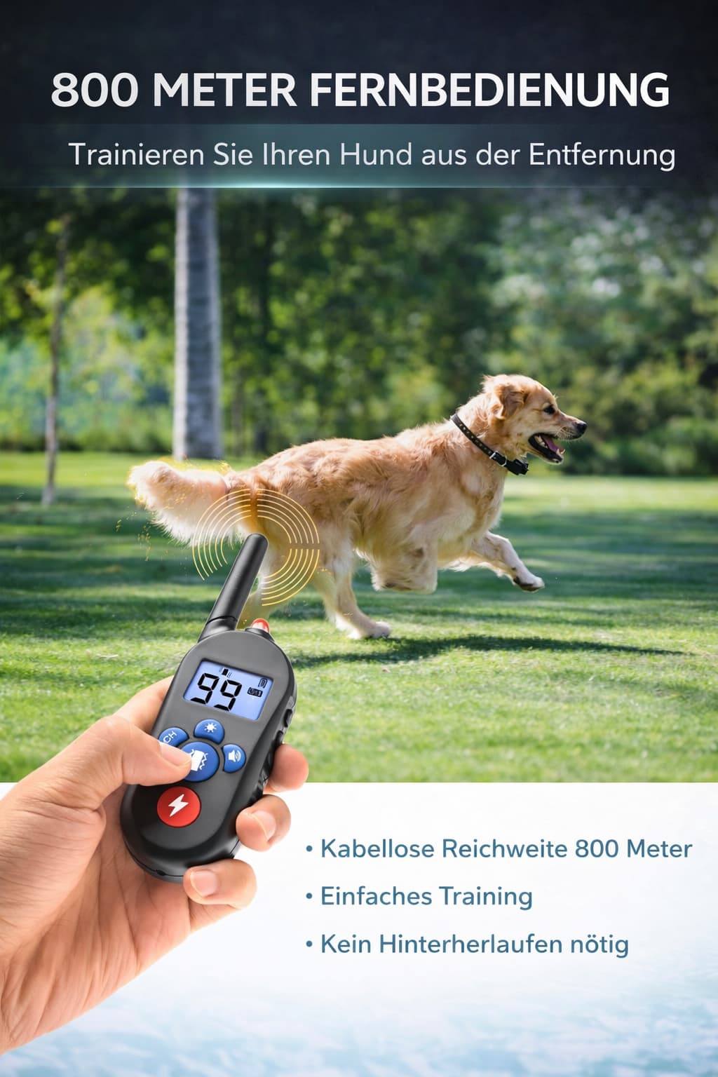 Elektroschock Halsband für Hunde - Stromhalsband