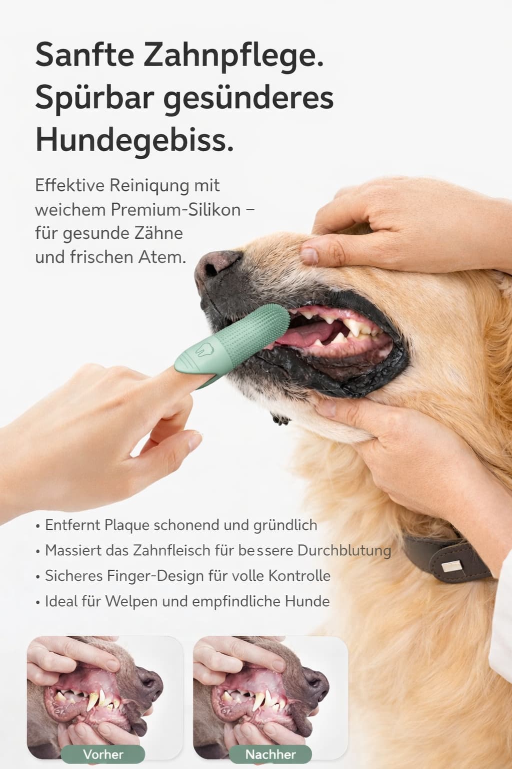 Fingerzahnbürste für Hunde - praktische Hundezahnbürste für Hunde & Katzen – jetzt bei Furrivio kaufen