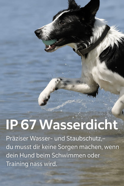 GPS Hunde - Tracker Halsband Wasserdicht 4G | Echtzeit - Ortung & Anti - Verlust Locator | Furrivio™ für Hunde & Katzen – jetzt bei Furrivio™ kaufen
