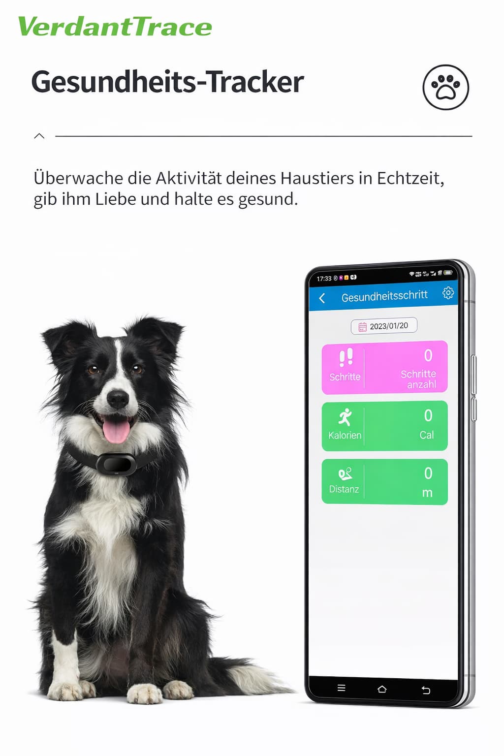 GPS - Tracker Hund ohne Abo | Furrivio™ für Hunde & Katzen – jetzt bei Furrivio kaufen