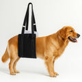 Hebegeschirr für Hunde - Tragehilfe für Hinterbeine | Furrivio™ für Hunde & Katzen – jetzt bei Furrivio™ kaufen