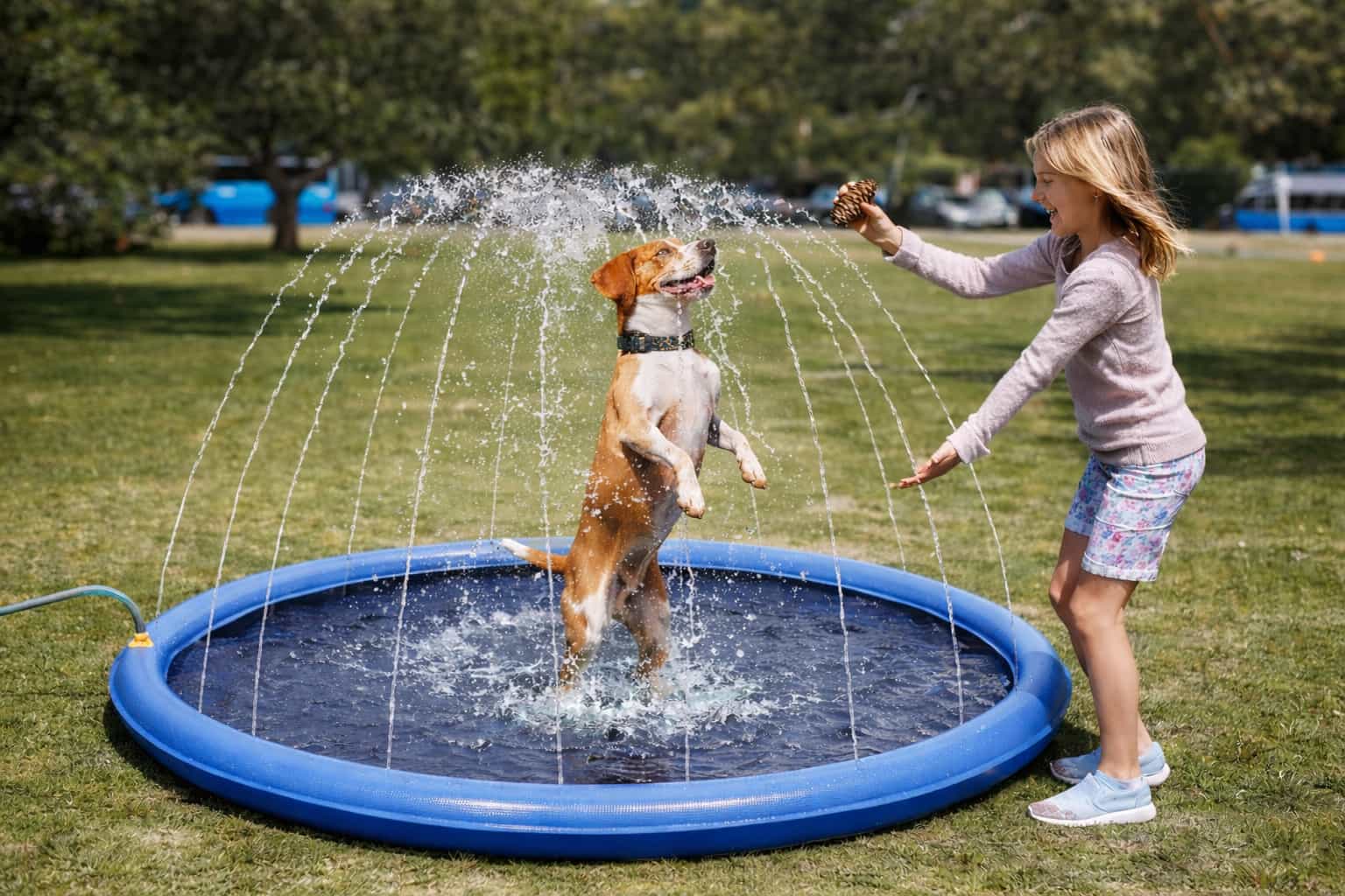 Hunde Planschbecken 200 cm - Planschbecken für Hunde (groß) für Hunde & Katzen – jetzt bei Furrivio kaufen