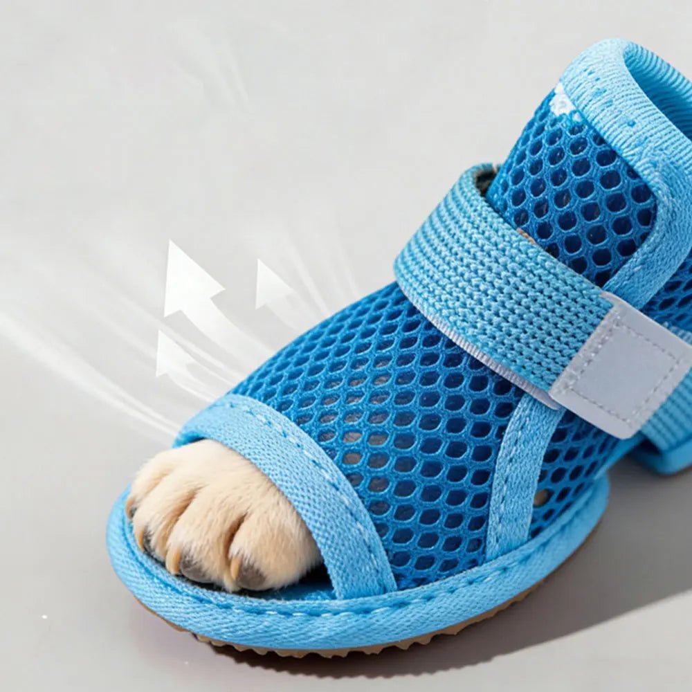 Hunde Schuhe Sommer (Asphalt-Schutz) - leicht & bequem! für Hunde & Katzen – jetzt bei Furrivio kaufen