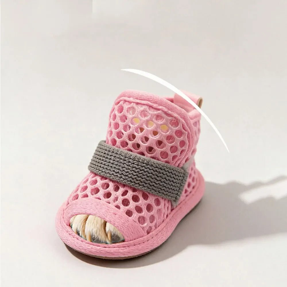 Hunde Schuhe Sommer (Asphalt-Schutz) - leicht & bequem! für Hunde & Katzen – jetzt bei Furrivio kaufen