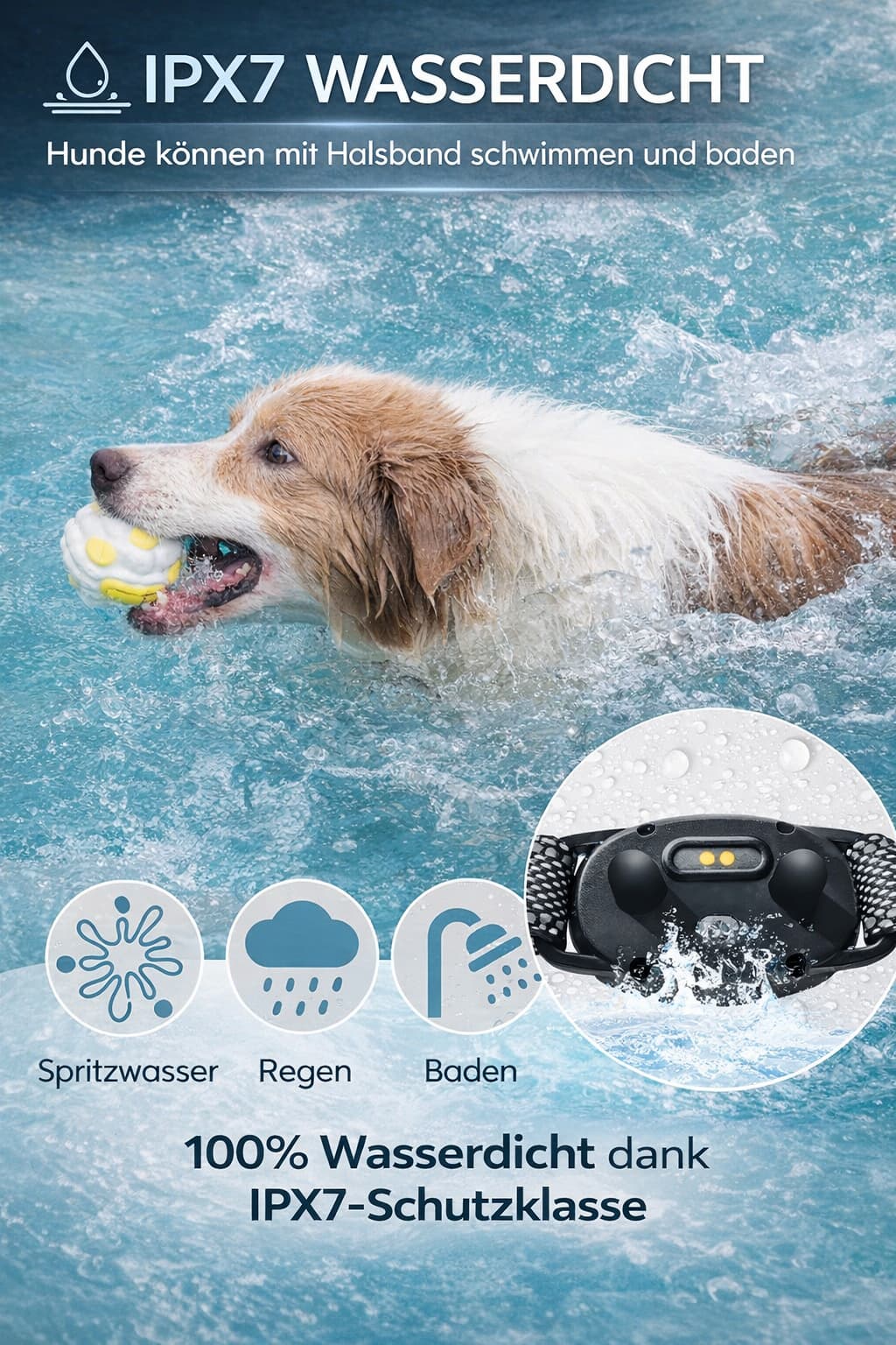 Hunde Trainingshalsband - Ferntrainer für Hunde | Furrivio™ für Hunde & Katzen – jetzt bei Furrivio kaufen