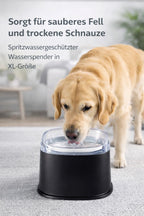 Hunde Wassernapf mit Spritzschutz - Hundenapf von Furrivio™ für Hunde & Katzen – jetzt bei Furrivio kaufen