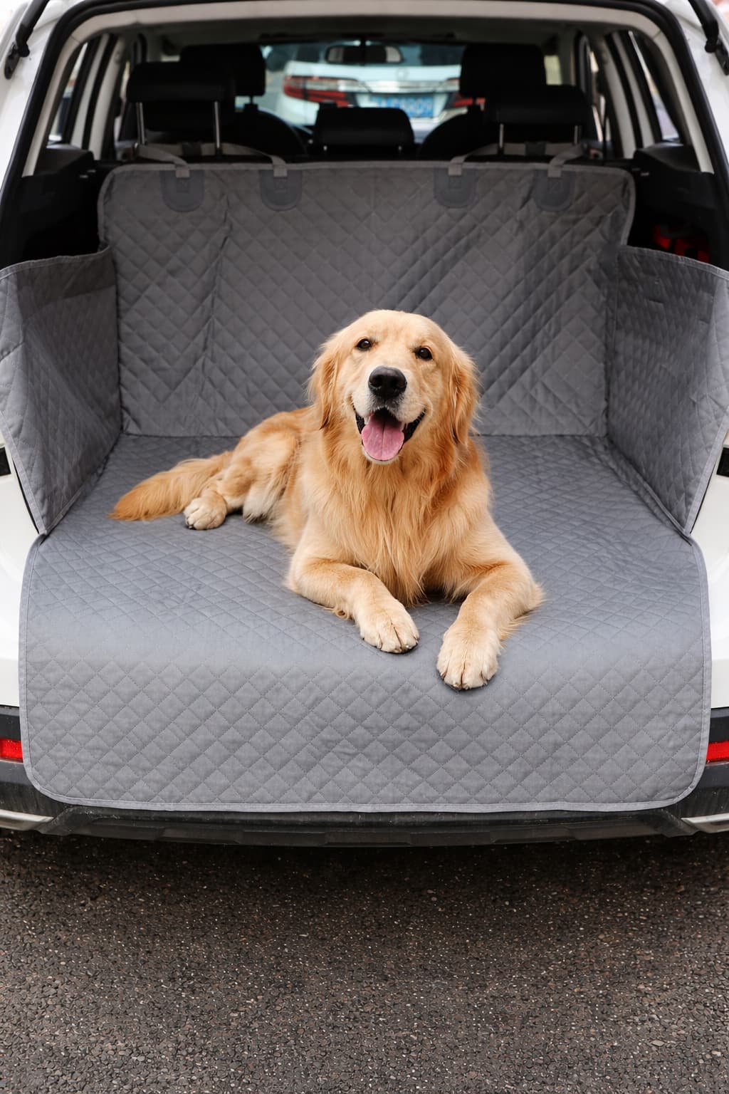 Hundedecke für den Kofferaum - Autoschondecke für Hunde für Hunde & Katzen – jetzt bei Furrivio™ kaufen