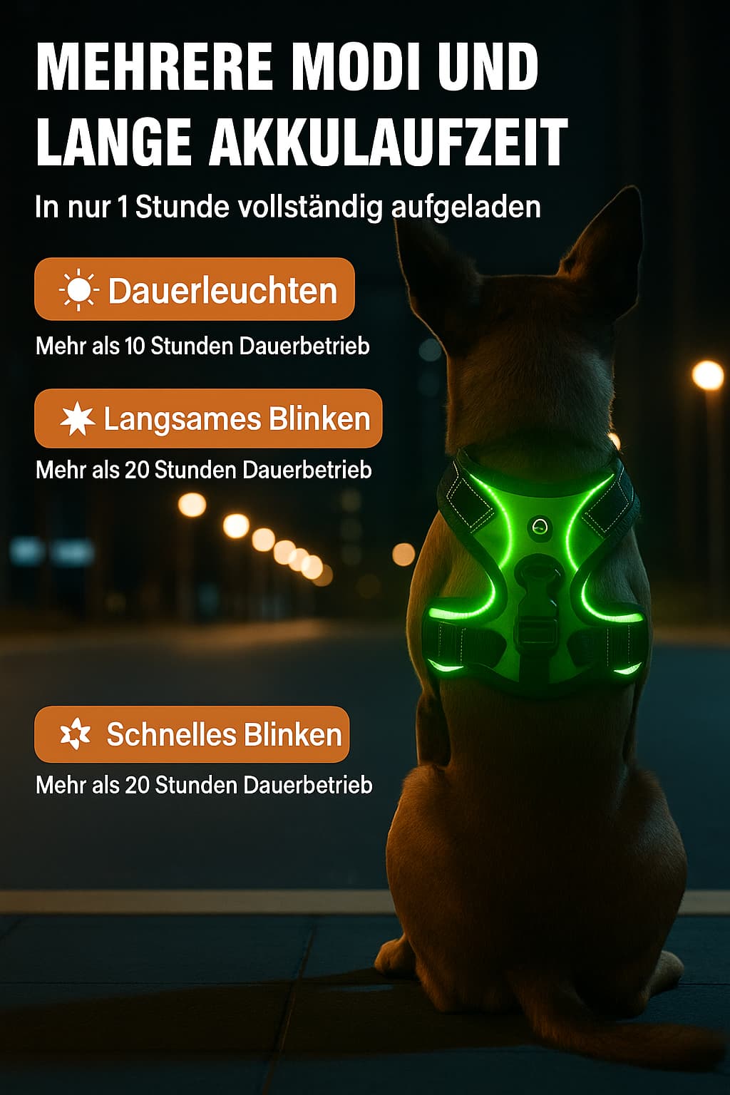 Hundegeschirr Leuchtend – No - Pull Weste LED | Furrivio™ für Hunde & Katzen – jetzt bei Furrivio™ kaufen