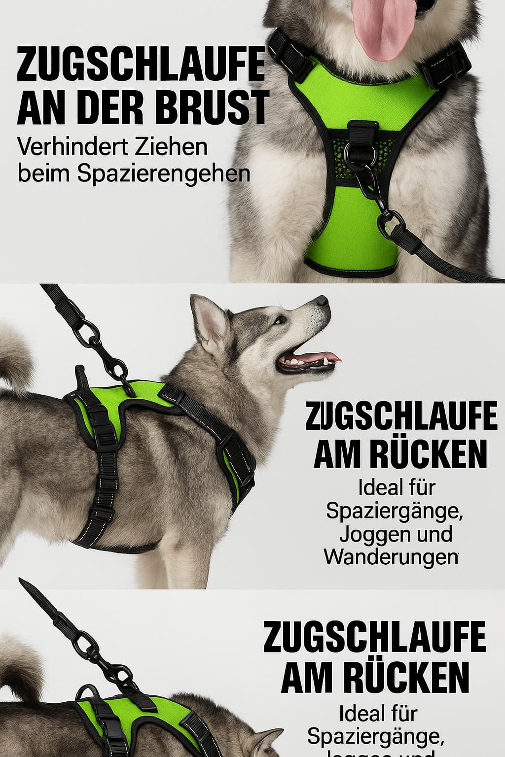 Hundegeschirr Leuchtend – No - Pull Weste LED | Furrivio™ für Hunde & Katzen – jetzt bei Furrivio™ kaufen