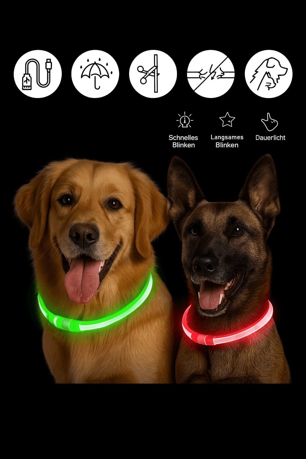 Hundehalsband leuchtend, aufladbar (LED - Licht) | Furrivio™ für Hunde & Katzen – jetzt bei Furrivio™ kaufen