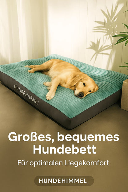 Hundekissen – waschbar, groß & bequem | Furrivio™ für Hunde & Katzen – jetzt bei Furrivio™ kaufen