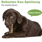Hundeknochen Spielzeug - robuster Hundespielzeug Knochen für Hunde & Katzen – jetzt bei Furrivio kaufen