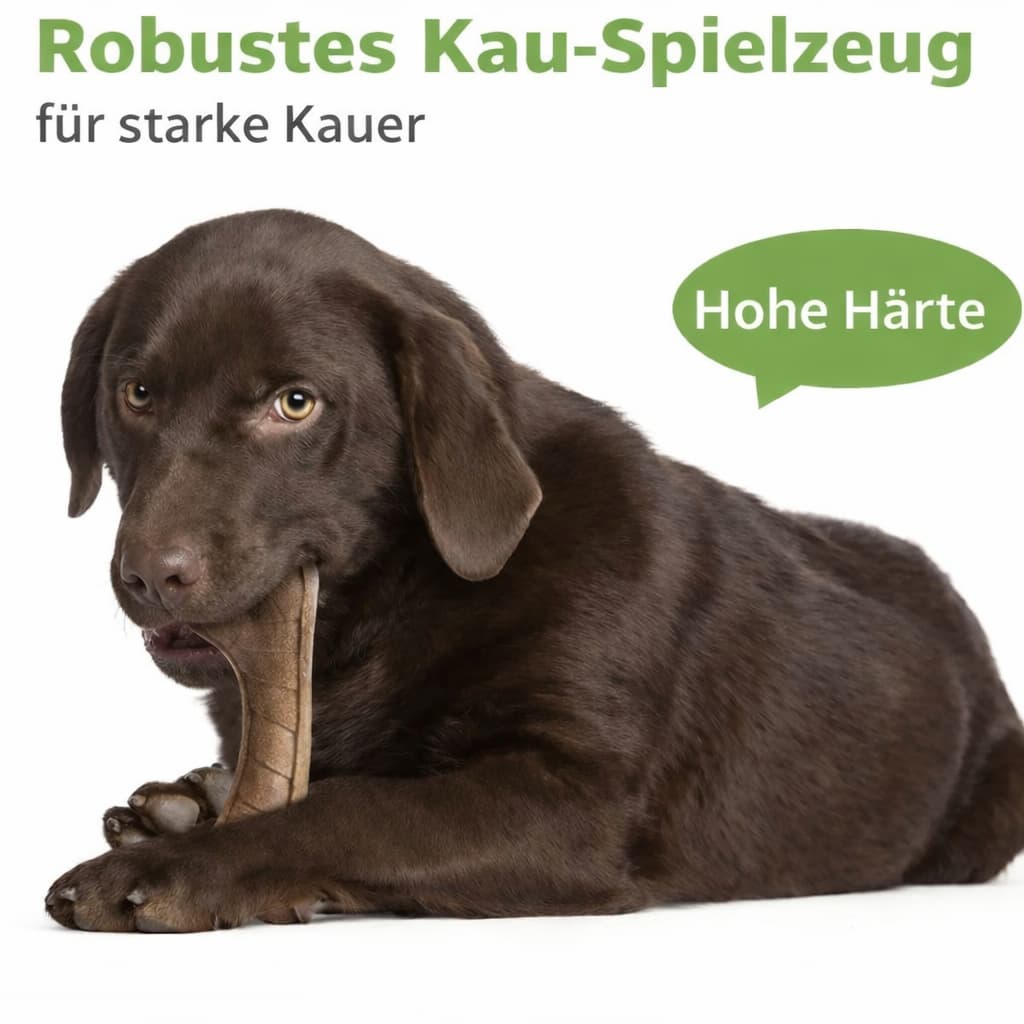 Hundeknochen Spielzeug - robuster Hundespielzeug Knochen für Hunde & Katzen – jetzt bei Furrivio kaufen