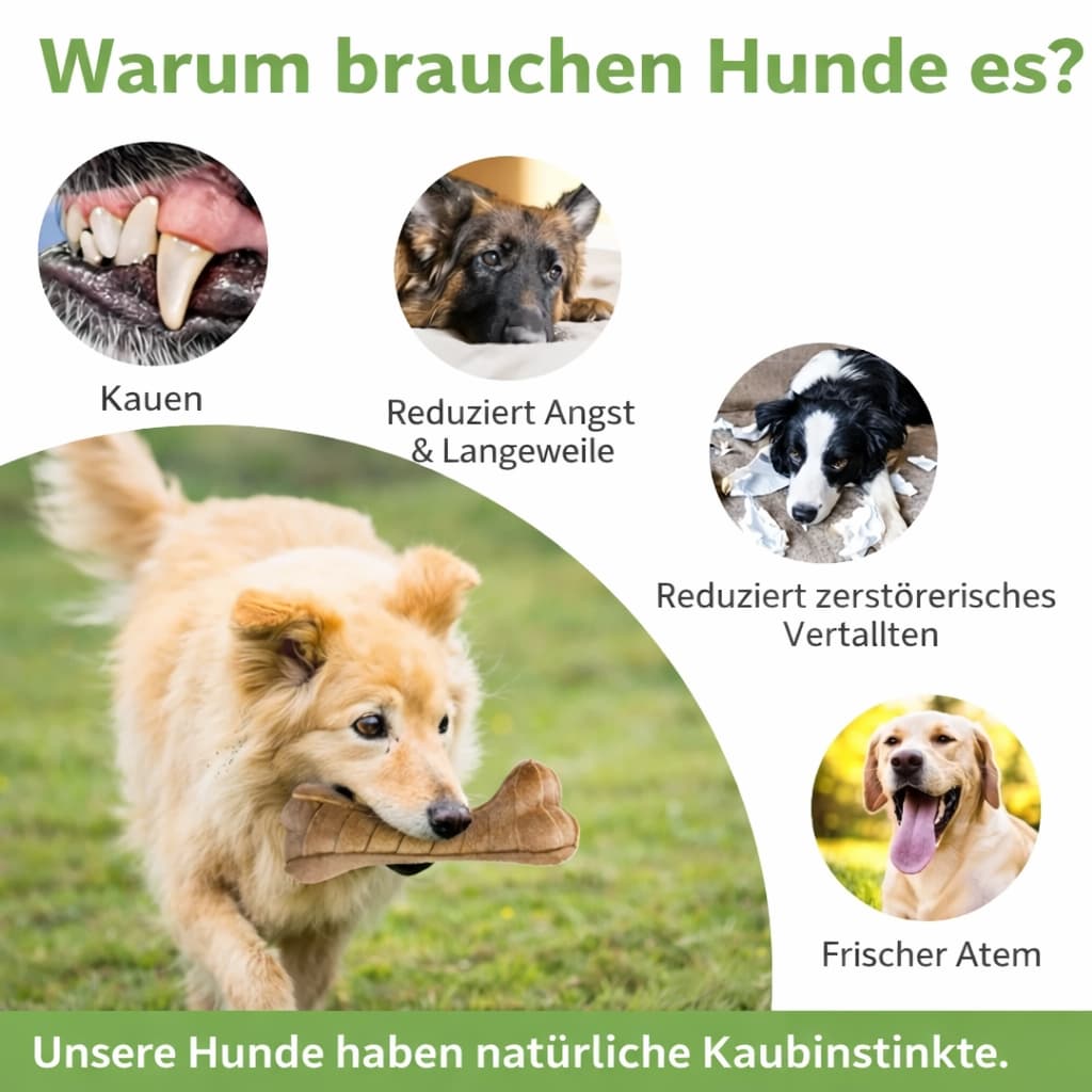 Hundeknochen Spielzeug - robuster Hundespielzeug Knochen für Hunde & Katzen – jetzt bei Furrivio kaufen