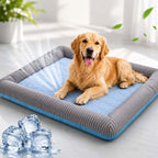 Hundekühlmatte - die beste Kühlmatte für Hunde | Furrivio für Hunde & Katzen – jetzt bei Furrivio kaufen