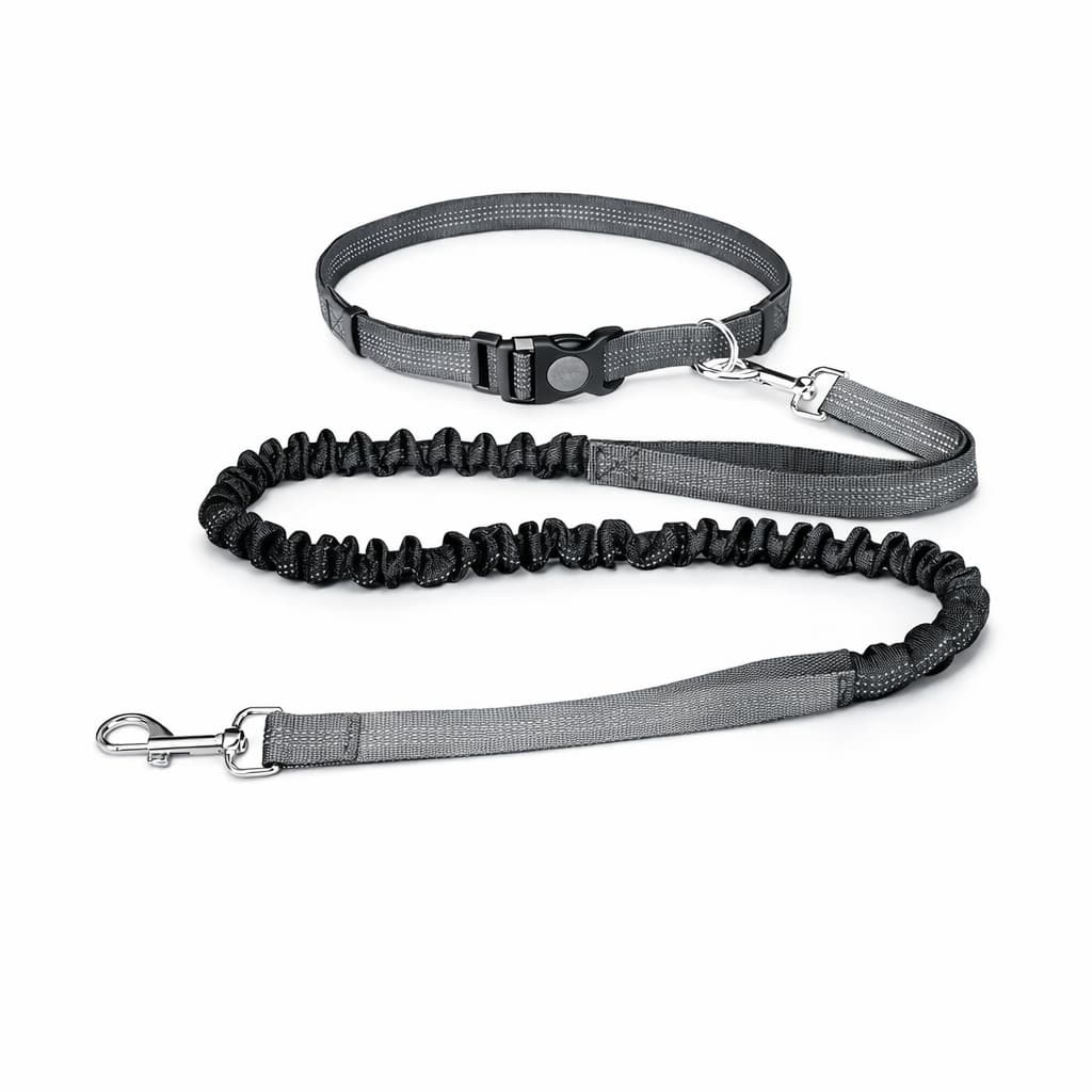 Hundeleine zum Joggen - praktische Joggingleine | Furrivio für Hunde & Katzen – jetzt bei Furrivio kaufen