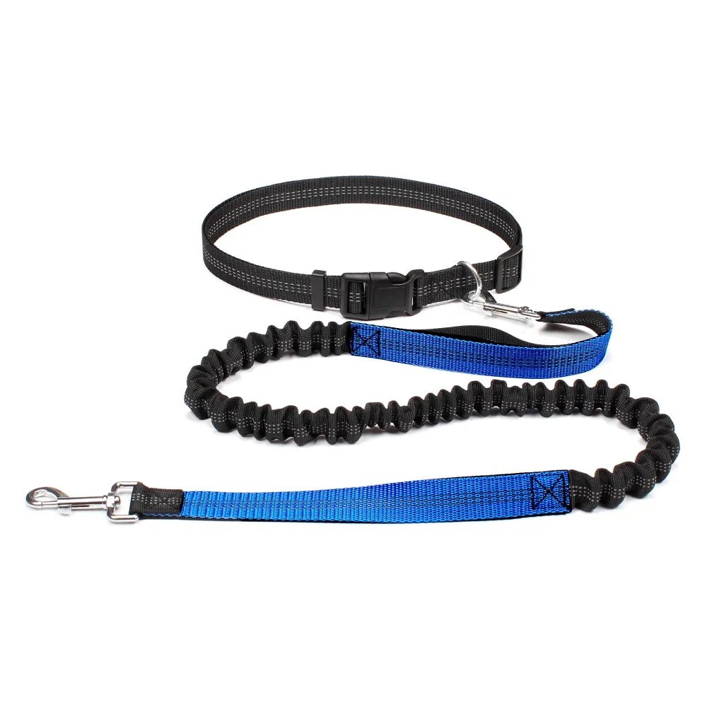 Hundeleine zum Joggen - praktische Joggingleine | Furrivio für Hunde & Katzen – jetzt bei Furrivio kaufen