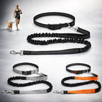 Hundeleine zum Joggen - praktische Joggingleine | Furrivio für Hunde & Katzen – jetzt bei Furrivio kaufen