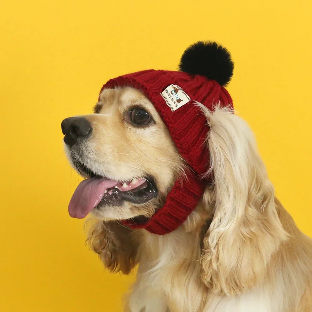 Hundemütze Winter - Strickmütze für Hunde | Furrivio™ für Hunde & Katzen – jetzt bei Furrivio™ kaufen