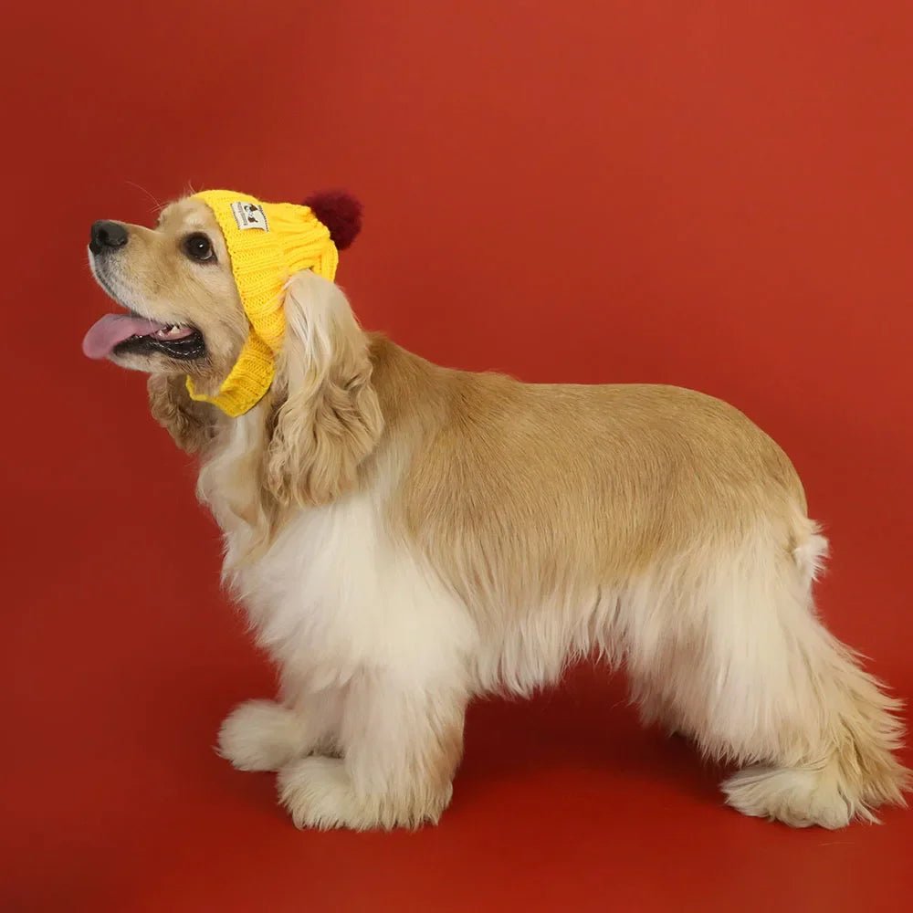 Hundemütze Winter - Strickmütze für Hunde | Furrivio™ für Hunde & Katzen – jetzt bei Furrivio™ kaufen