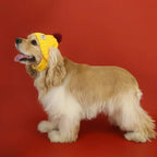 Hundemütze Winter - Strickmütze für Hunde | Furrivio™ für Hunde & Katzen – jetzt bei Furrivio™ kaufen