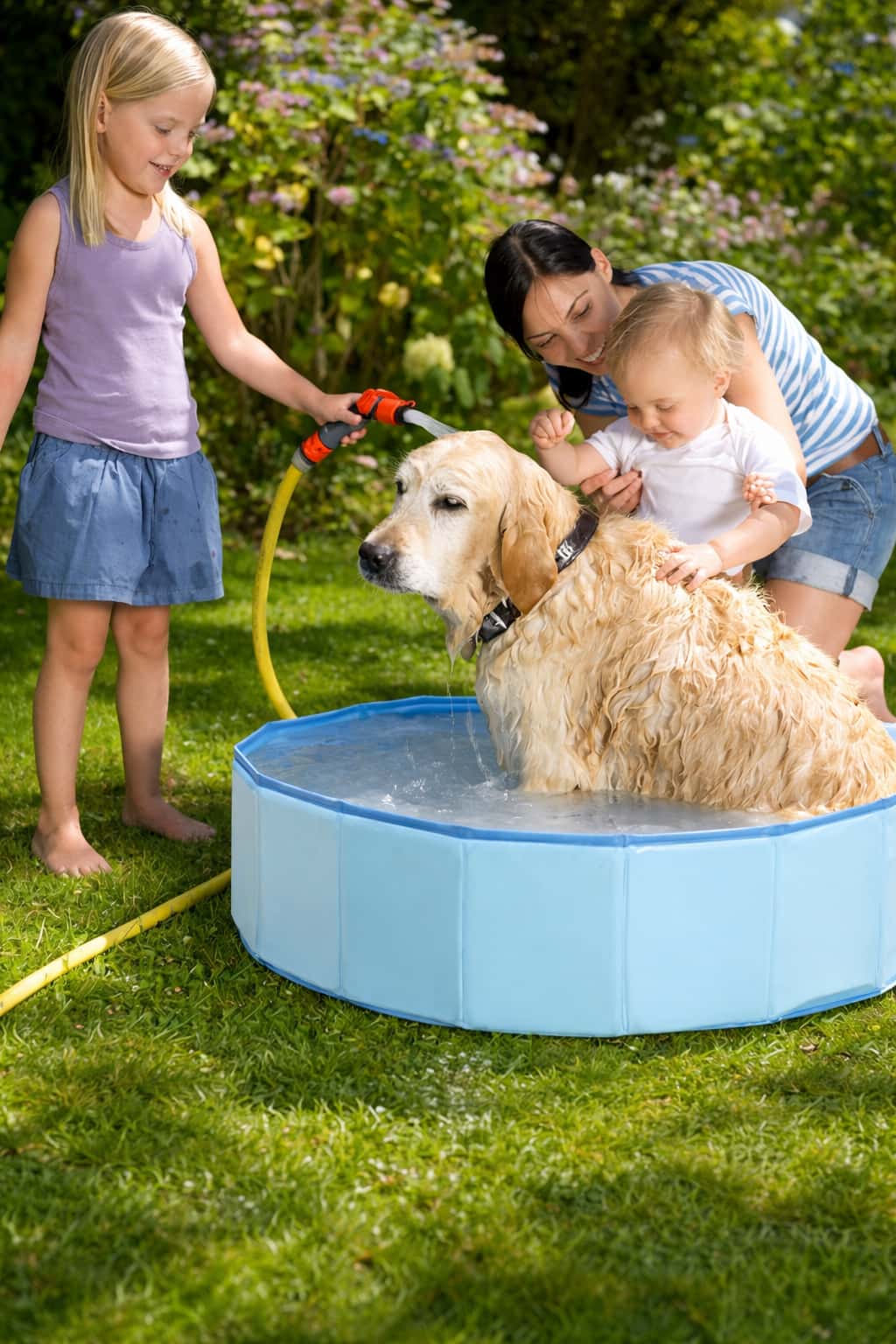 Hundepool faltbar – tolles Schwimmbecken für Hunde | Furrivio™ für Hunde & Katzen – jetzt bei Furrivio kaufen