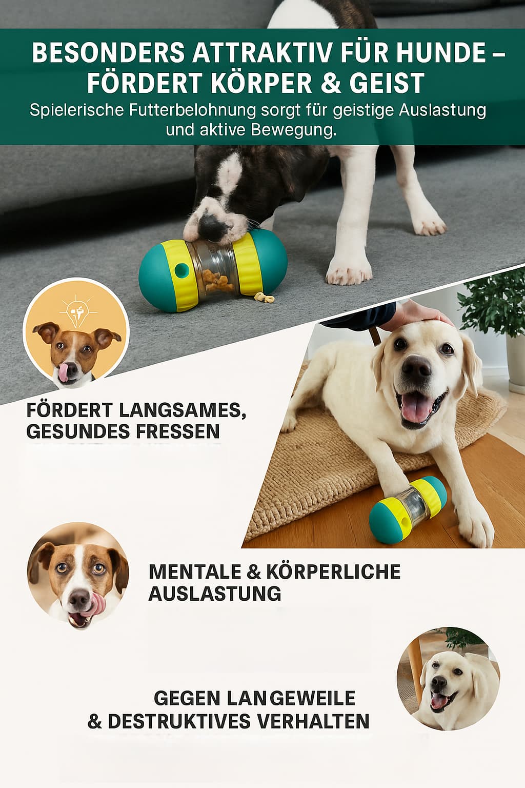 Hundespielzeug für Leckerlis | Furrivio™ für Hunde & Katzen – jetzt bei Furrivio kaufen