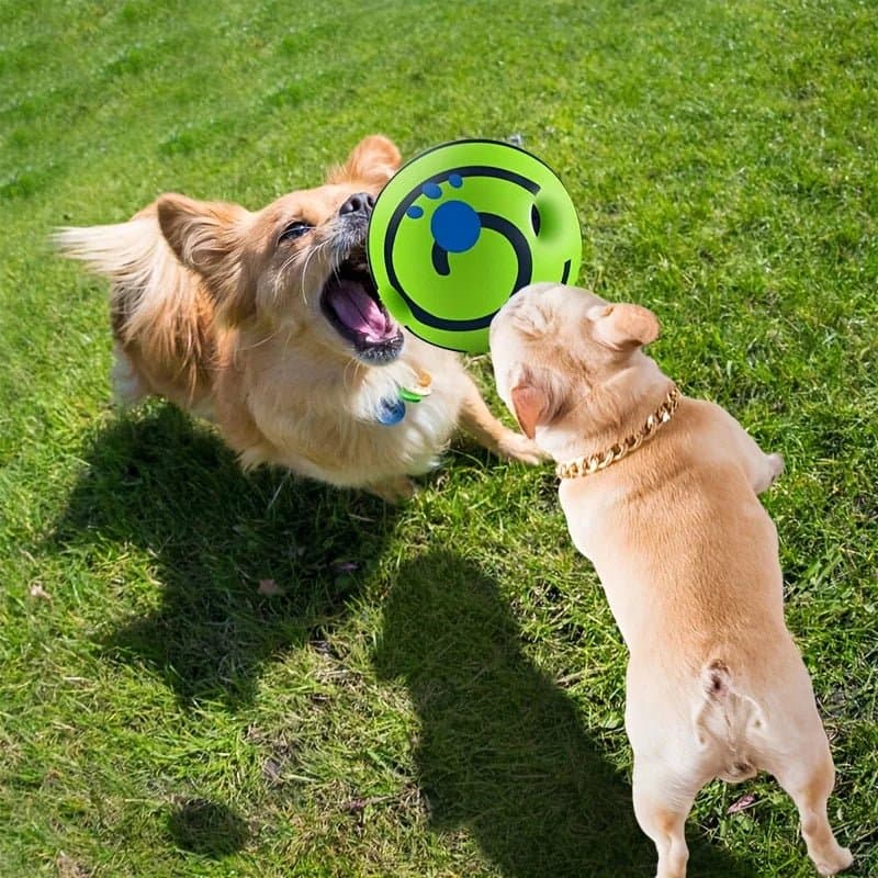 Interaktiver Hundespielball – Bewegungsaktiv, Geräuschfunktion | Furrivio™ für Hunde & Katzen – jetzt bei Furrivio™ kaufen