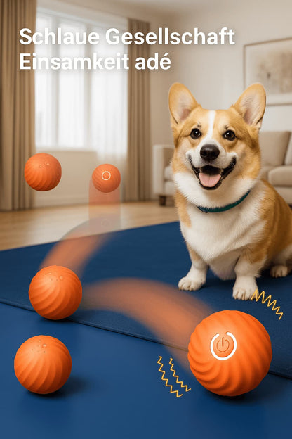 Interaktiver Spielball für Hunde – Hüpfball - Spielzeug auf Knopfdruck | Furrivio™ für Hunde & Katzen – jetzt bei Furrivio™ kaufen